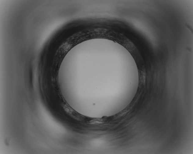 X0000102030526200807181009