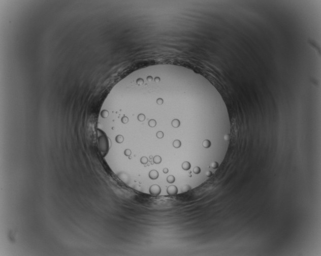 X0000102030527200807181009