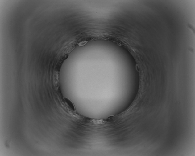 X0000102030528200807181009