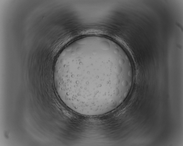 X0000102030529200807181009