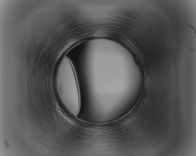 X0000102030530200807181009