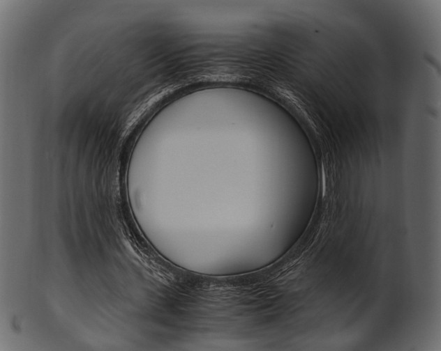 X0000102030531200807181009