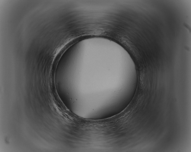 X0000102030532200807181009