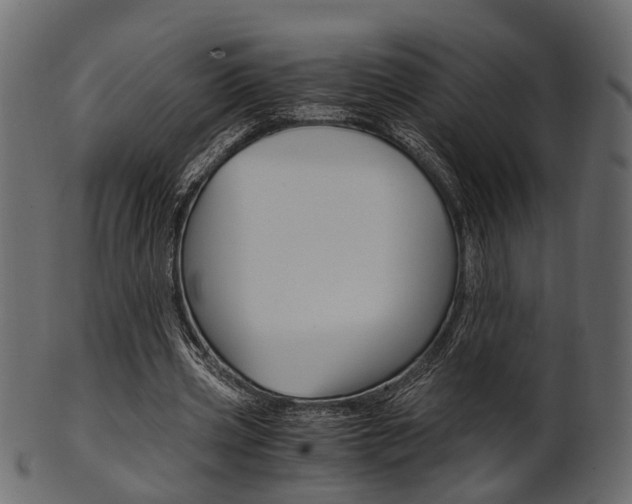 X0000102030533200807181009