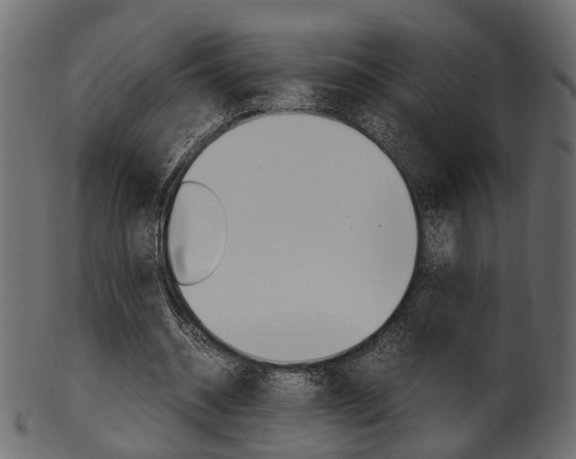 X0000102030534200807181009