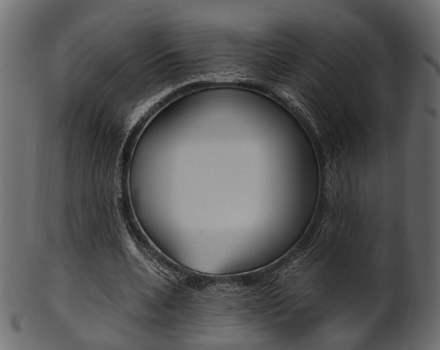 X0000102030536200807181009