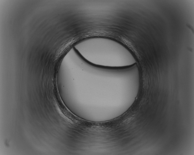 X0000102030538200807181009