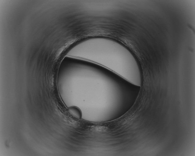 X0000102030539200807181009