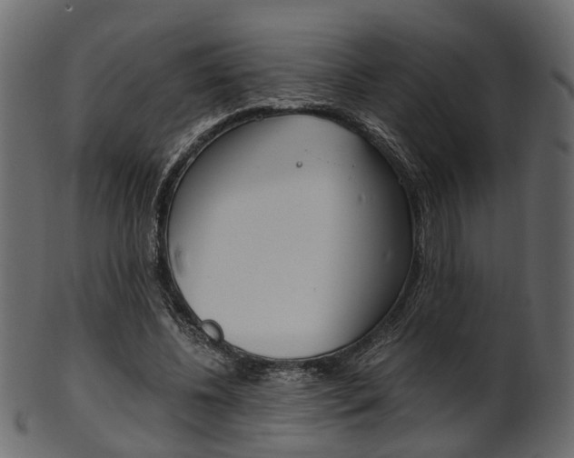 X0000102030540200807181009