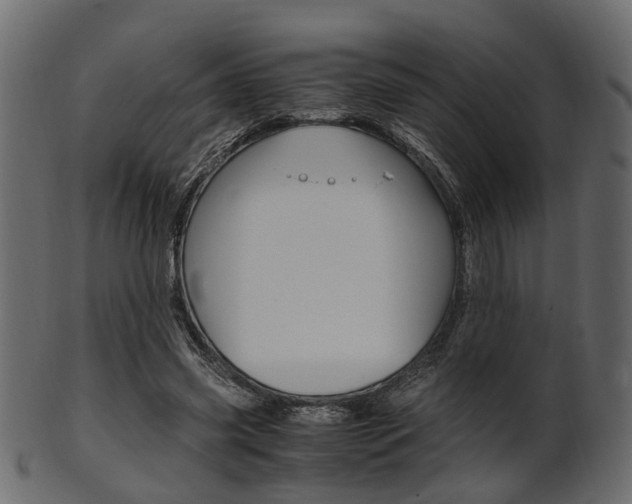 X0000102030541200807181009