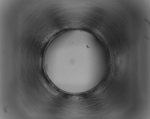 X0000102030542200807181009