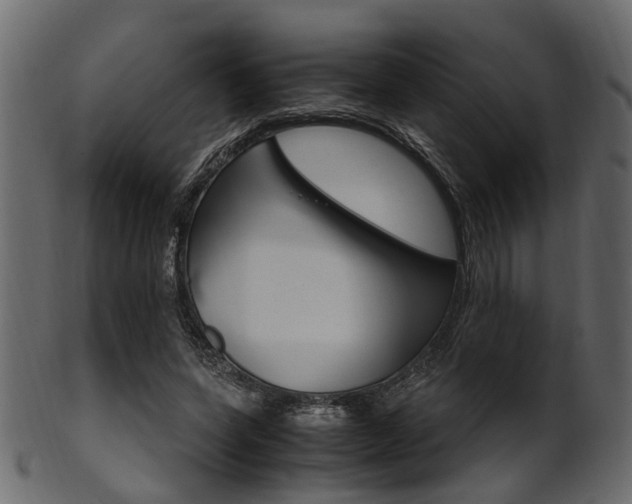 X0000102030543200807181009