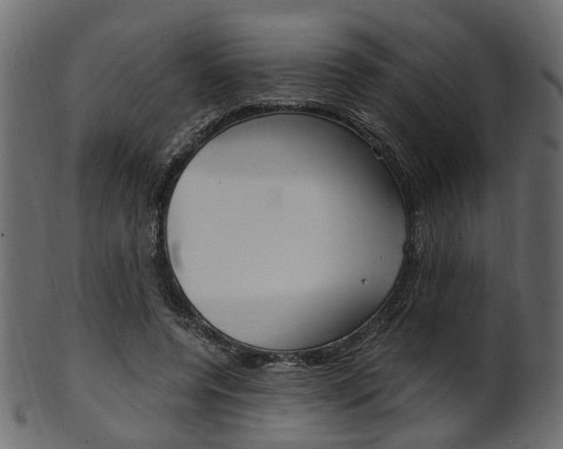 X0000102030544200807181009