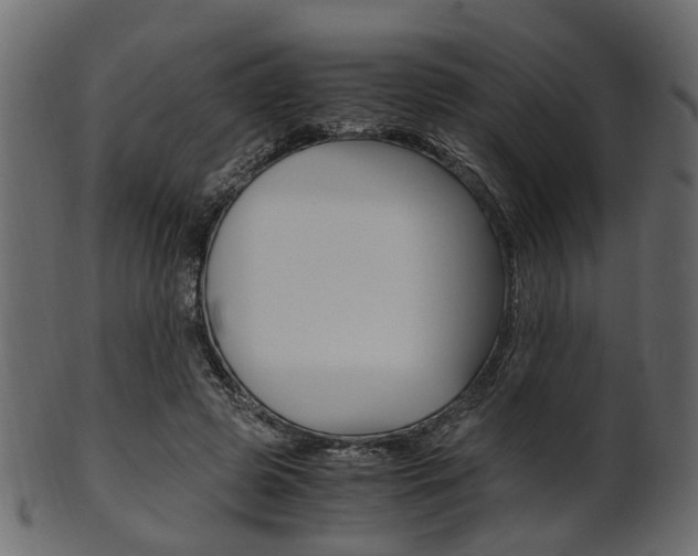 X0000102030545200807181009