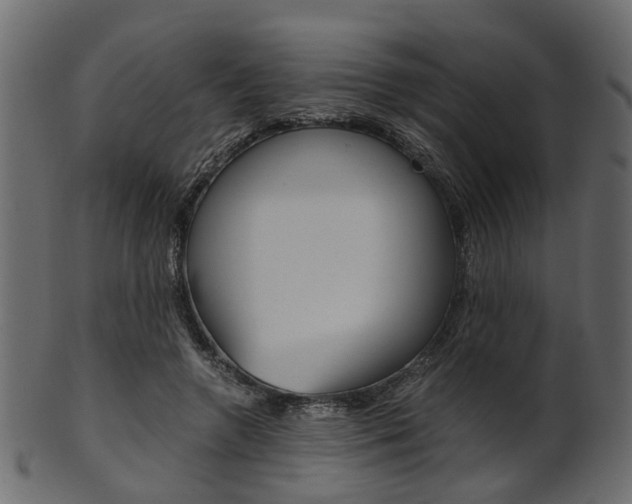 X0000102030546200807181009