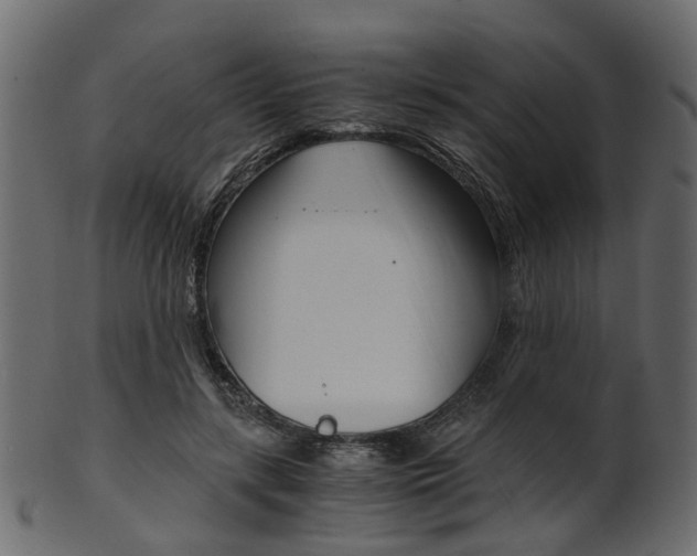 X0000102030547200807181009