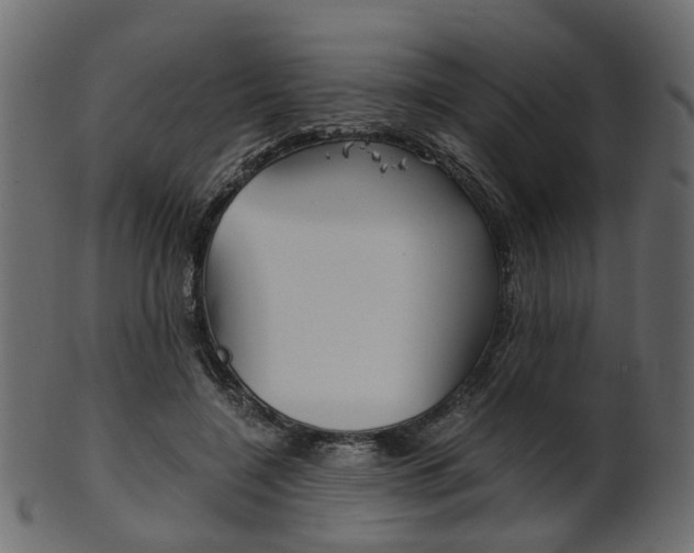 X0000102030548200807181009