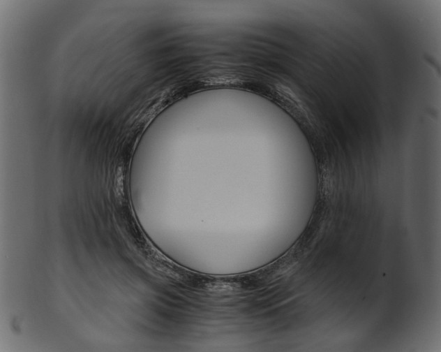 X0000102030549200807181009