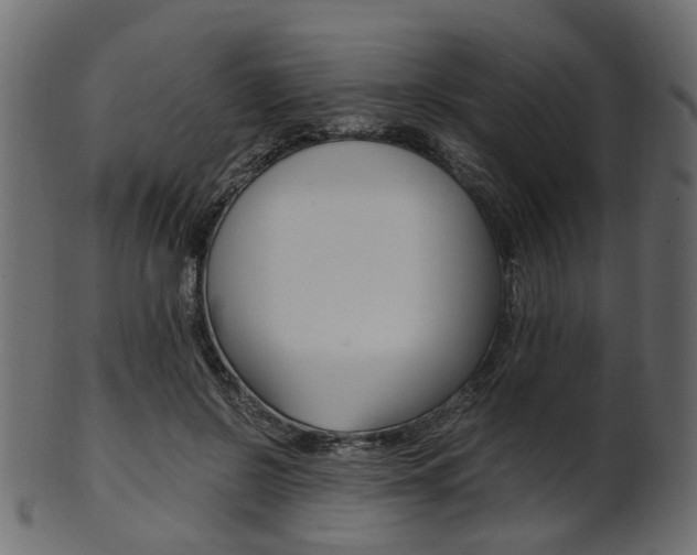 X0000102030550200807181009