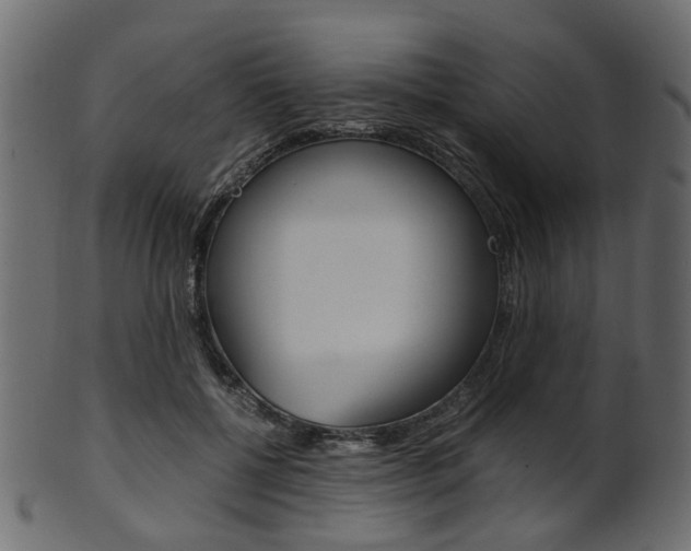 X0000102030552200807181009