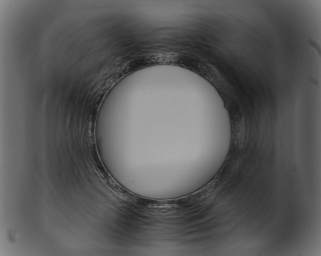 X0000102030553200807181009