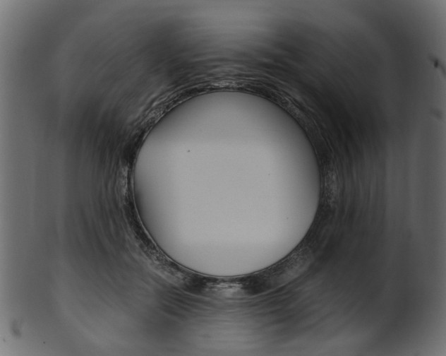 X0000102030554200807181009