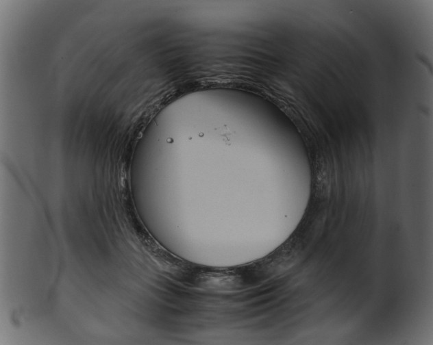 X0000102030555200807181009