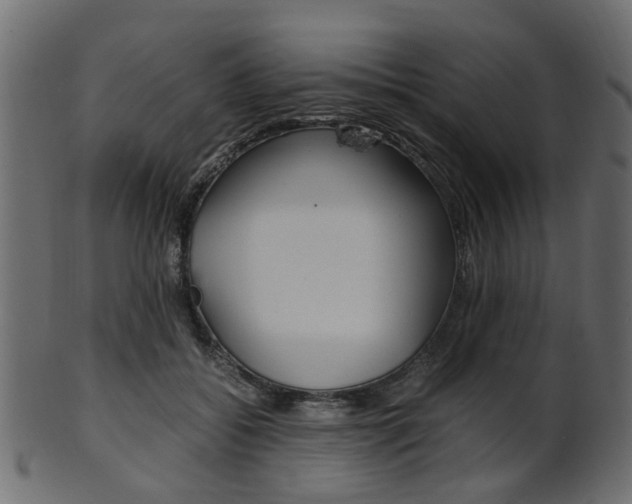 X0000102030556200807181009