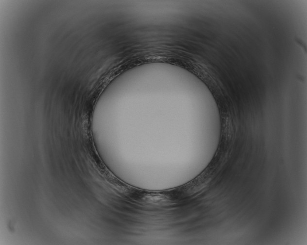 X0000102030557200807181009