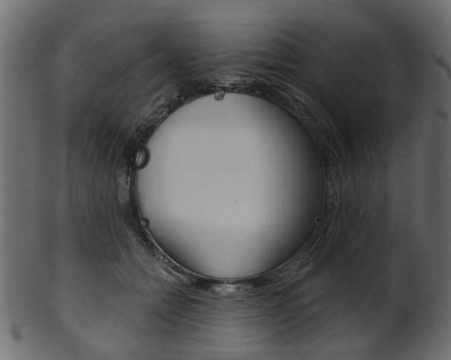 X0000102030558200807181009