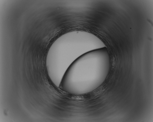 X0000102030559200807181009