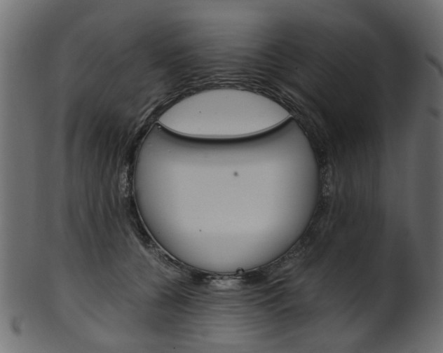 X0000102030560200807181009