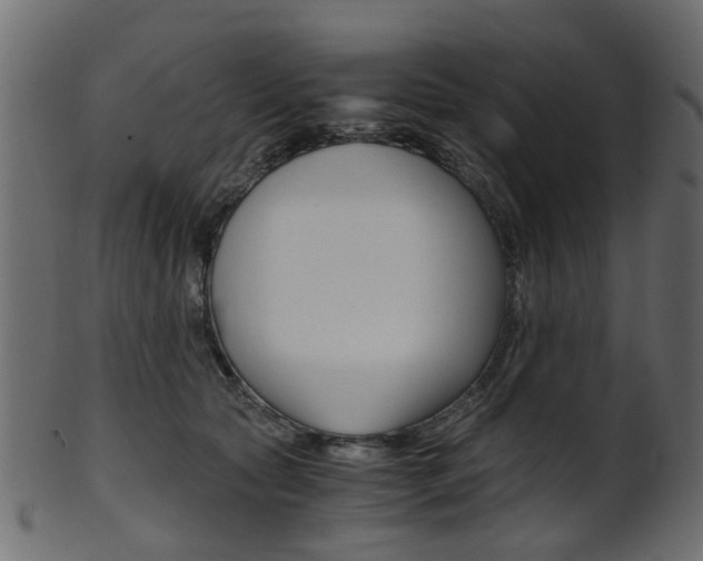 X0000102030561200807181009