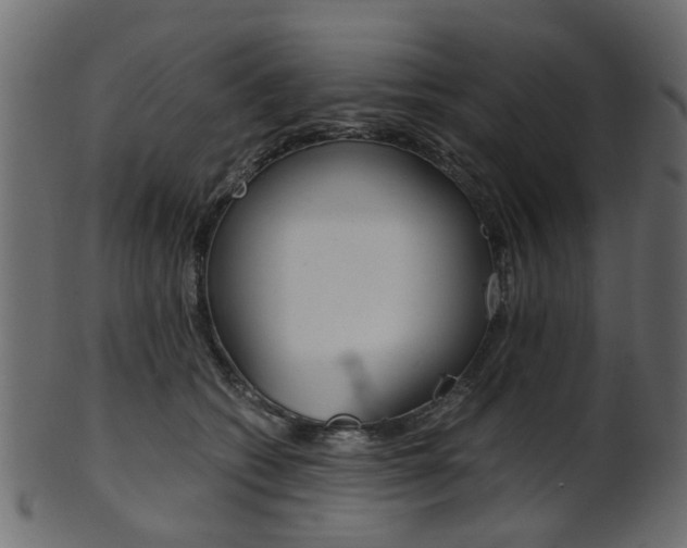 X0000102030562200807181009