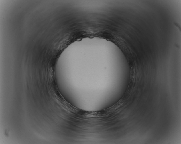 X0000102030563200807181009