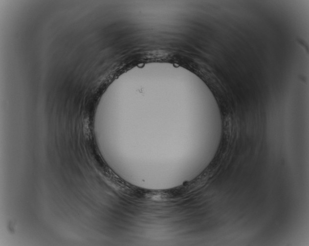 X0000102030564200807181009