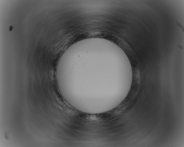 X0000102030565200807181009