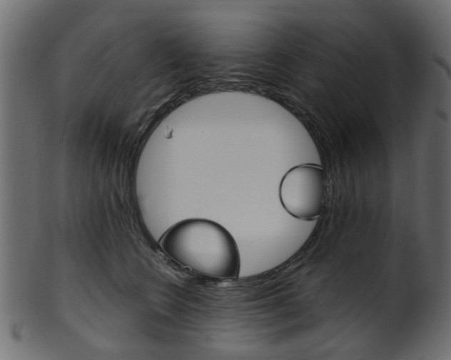 X0000102030566200807181009