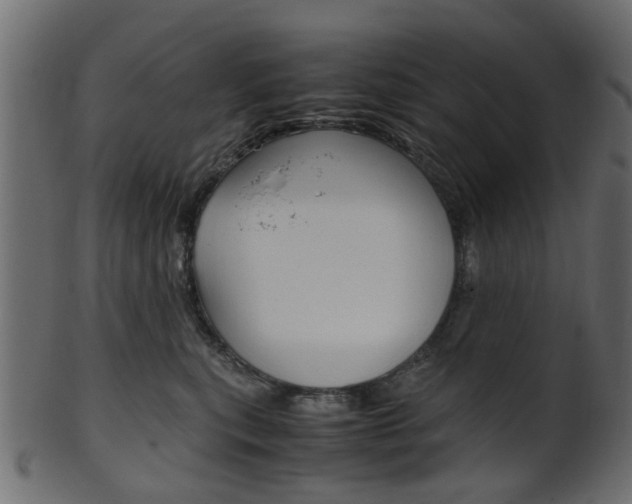 X0000102030567200807181009