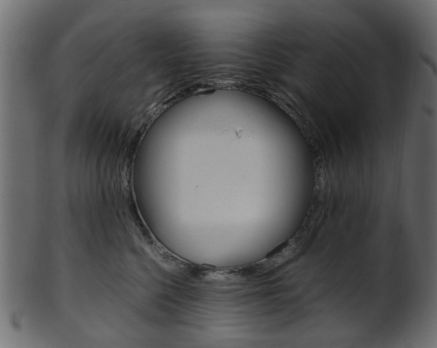 X0000102030568200807181009