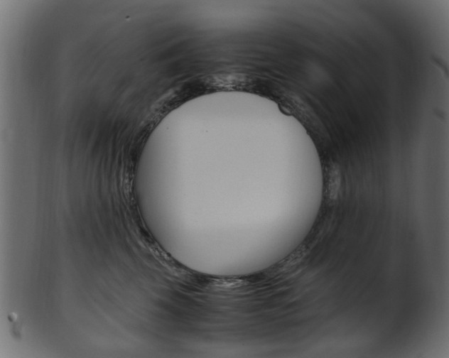 X0000102030569200807181009