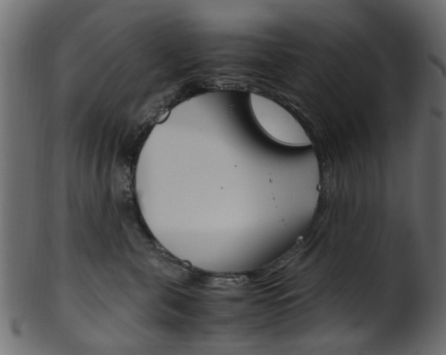 X0000102030571200807181009