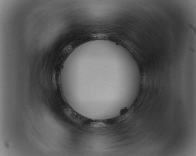 X0000102030572200807181009