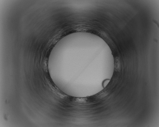 X0000102030573200807181009