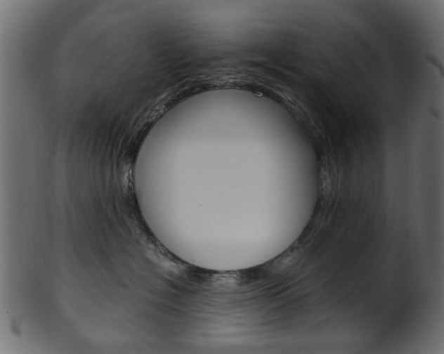 X0000102030574200807181009