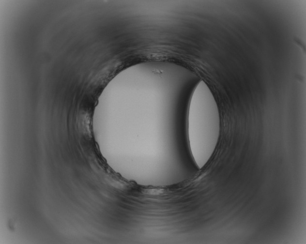 X0000102030575200807181009