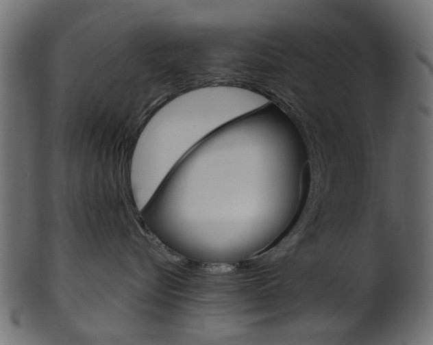 X0000102030576200807181009