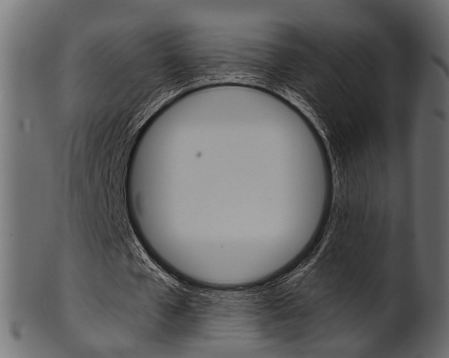 X0000102030577200807181009