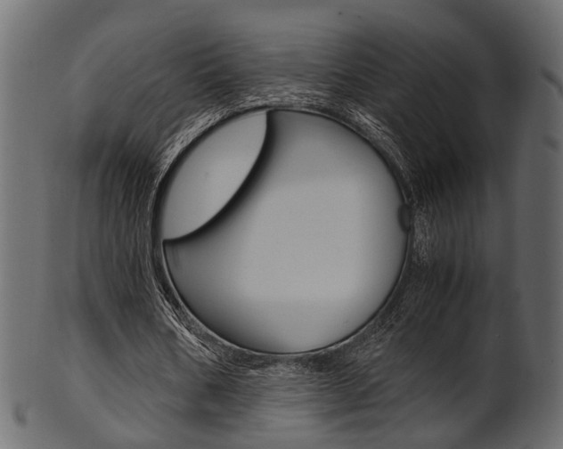 X0000102030578200807181009