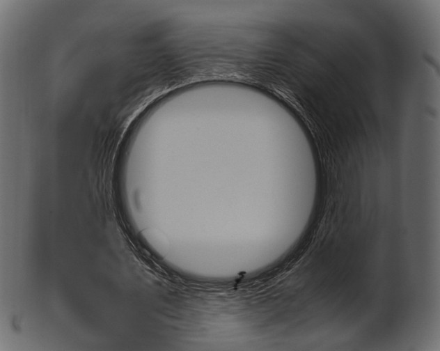 X0000102030579200807181009